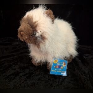 Webkinz Himalayan Cat Plush UNUSED SEALED CODE Ganz Vintage NWT